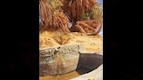 حوض عين السرو_4