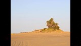 عين السرو من بعيد_6