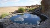 عين السرو_7