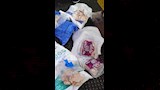 ضبط دواجن غير صالحة