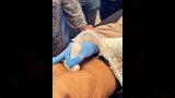 مؤتمر مناظير الجهاز الهضمي بالإسكندرية (4)