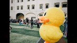 أول أيام العام الدراسي في بورسعيد٦