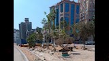 بدء تشجير شارع جامعة الدول العربية بالجيزة (5)