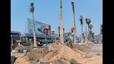 بدء تشجير شارع جامعة الدول العربية بالجيزة (6)