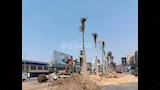 بدء تشجير شارع جامعة الدول العربية بالجيزة (7)