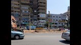 بدء تشجير شارع جامعة الدول العربية بالجيزة (11)