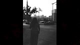  ليلى علوي في شوارع بيروت بحبك يا لبنان (6)