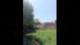 محاولات تطوعية لإخماده_3