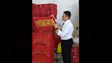 حماية المستهلك يضبط 6 أطنان دواجن فاسدة (6)
