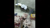 حماية المستهلك يضبط 6 أطنان دواجن فاسدة (7)