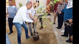 محافظ السويس يشارك في اعمال التشجير 