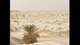 تتابع صخري لصخور محمية الصحراء البيضاء بالفرافرة_3