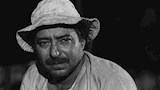 الفنان صلاح السعدني