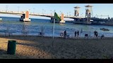هدوء واستجمام على شواطئ الإسكندرية (7)