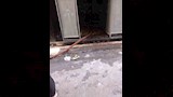 حريق في شقة بالإسكندرية (2)