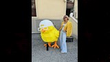 هنا شيحة  (7)