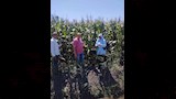 تفقد الذرة_1
