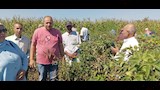 متابعة من وسط الحقول في مركز الرياض_3
