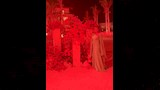 ليلى علوي  (1)