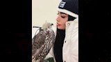 مي كمال الدين طليقة مكي مع الصقور (3)