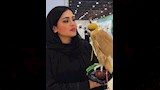 مي كمال الدين طليقة مكي مع الصقور (1)