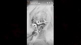 ستوري مي كمال الدين