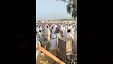 جنازة شاب بالفيوم قتل داخل مزرعته بالضبعة