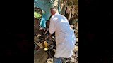 بيطري المنوفية يطلق مبادرة جديدة في جروان