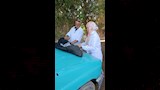 حملة بيطرية لتحصين الكلاب الحرة