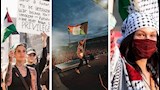 بعد استبعاد ماكليمور بسبب فلسطين.. نجوم دعموا القضية الفلسطينية