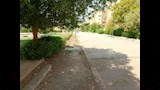 الشوارع خالية بسبب حرارة الجو_2