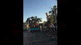 خلال تحميل الاشجار الاثرية