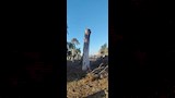 قطع الاشجار (10)
