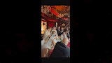 لقطات من حفل زفاف نجل سعد صغير  (14)