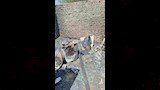 محتويات المنازل_10