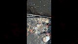 خزين المنازل
