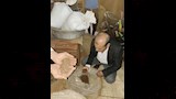 ضبط 1.5 طن بن مخلوط بالبسلة بمخزن غير مرخص بشبرا الخيمة (5)