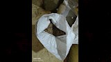 ضبط 1.5 طن بن مخلوط بالبسلة بمخزن غير مرخص بشبرا الخيمة (8)