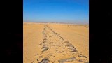 أقدم طريق مواصلات عرفته البشرية (1)_2_16