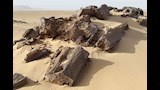 أقدم طريق مواصلات عرفته البشرية (2)_3_8