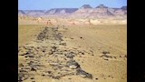 أقدم طريق مواصلات عرفته البشرية (5)_6_5