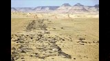 أقدم طريق مواصلات عرفته البشرية (12)_13_12