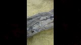 أقدم طريق مواصلات عرفته البشرية (14)_15_11