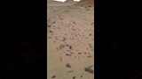 أقدم طريق مواصلات عرفته البشرية (15)_16_10
