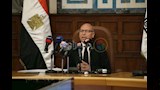 محافظ القاهرة يكشف تفاصيل خطة تخضير القاهرة (17)
