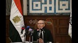محافظ القاهرة يكشف تفاصيل خطة تخضير القاهرة (18)