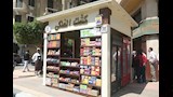 محافظ القاهرة يفتتح منظومة الأكشاك الموحدة  (8)