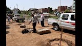 تشجير الشوارع فى أسوان