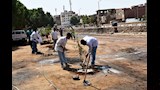 تشجير شوارع أسوان