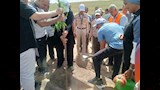 زراعة شجرة فى مبادرة تشجير شوارع أسوان